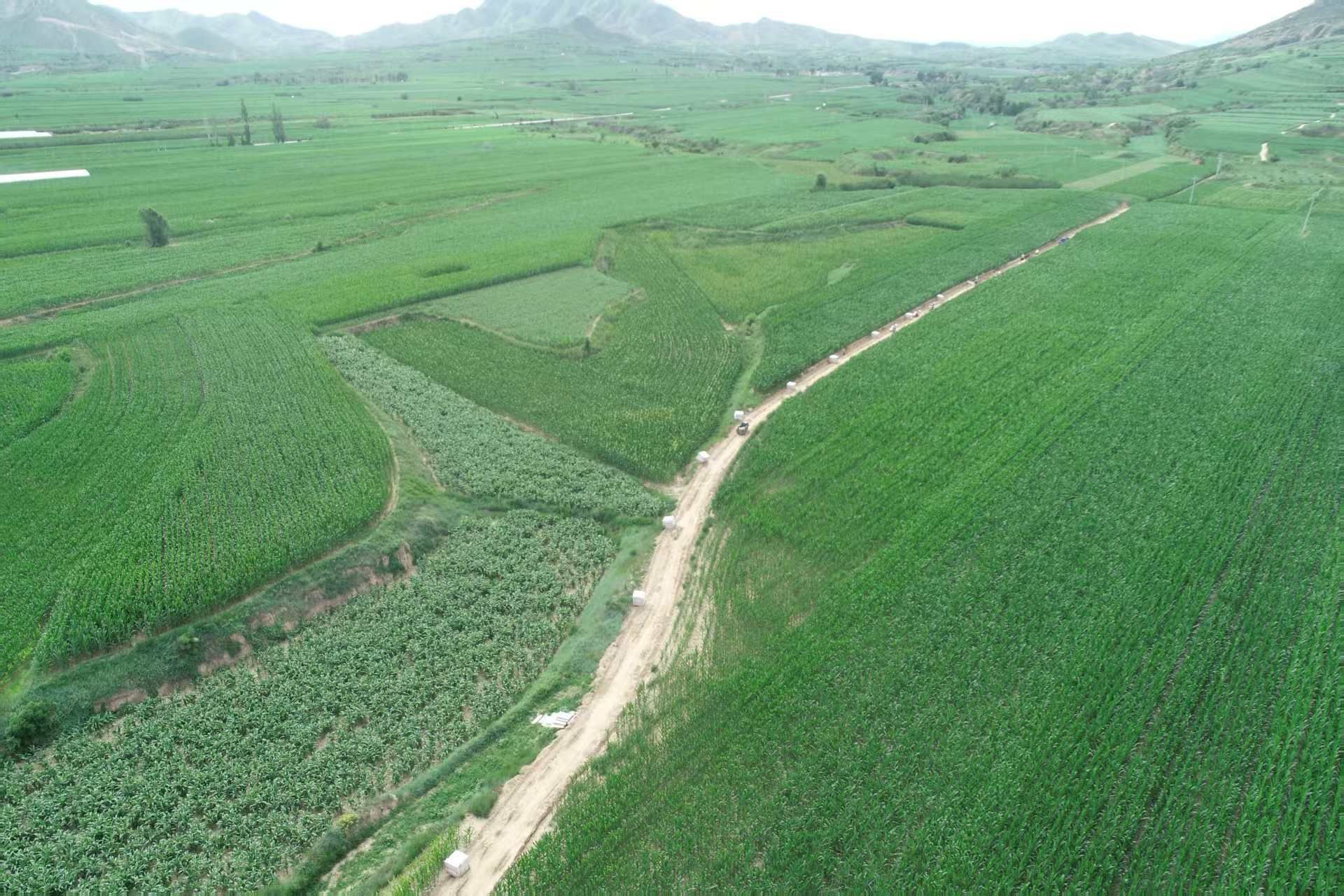 必发集团app下载安装