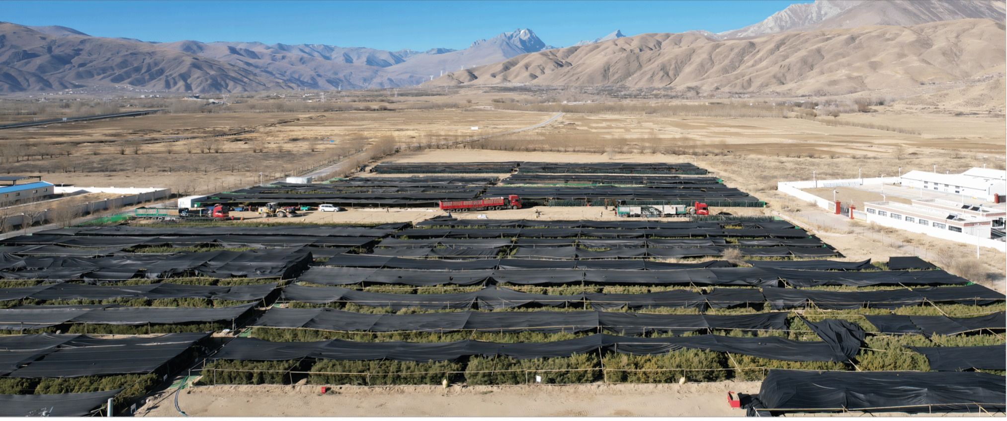 必发集团app下载安装