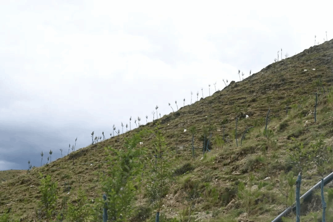 必发集团app下载安装