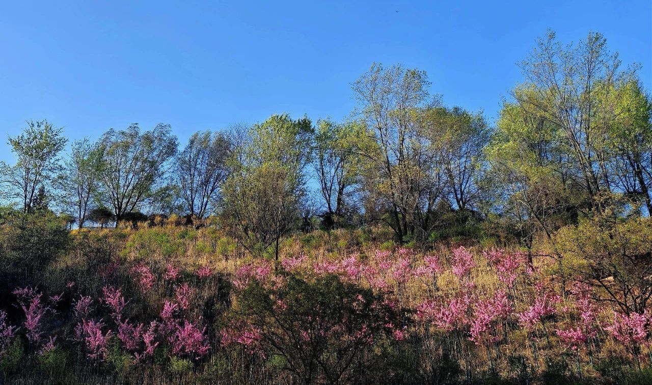 必发集团app下载安装