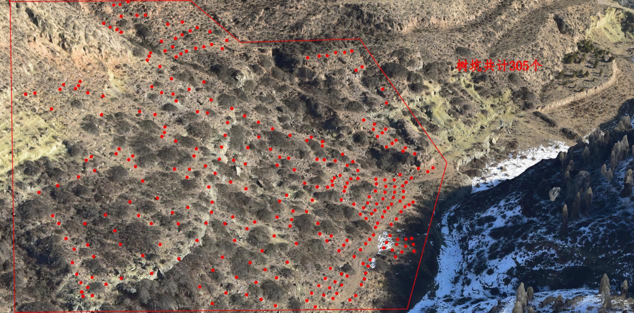 必发集团app下载安装