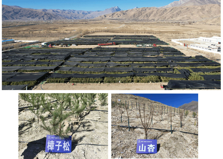 必发集团app下载安装