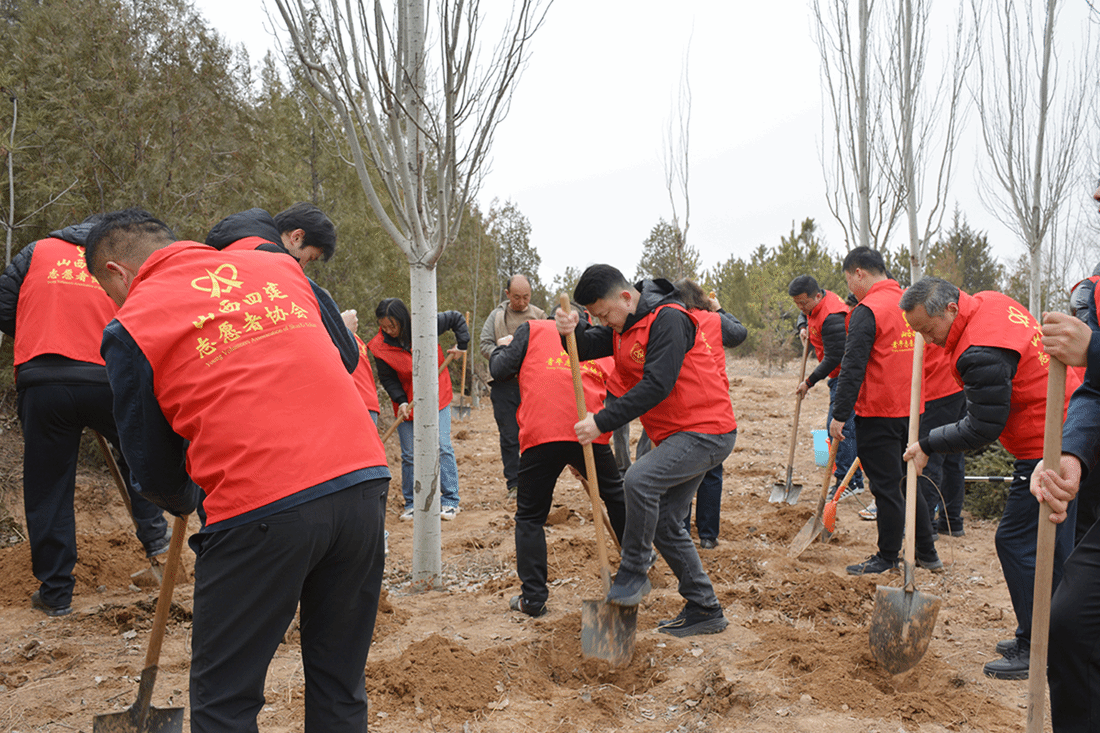 山西建投四建集团开展植树节主题活动