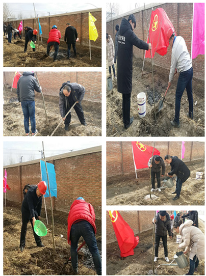 必发集团app下载安装