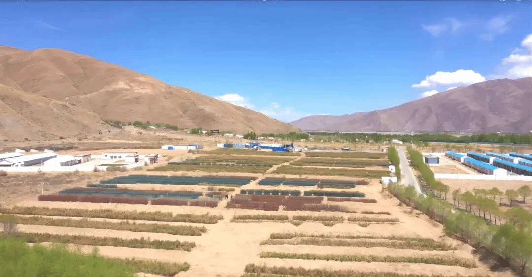 必发集团app下载安装