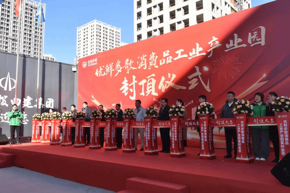 山西建投四建集团承建的优鲜多歌（美特好）项目喜封金顶